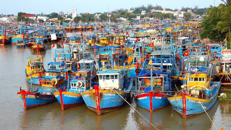 EC chưa chốt ngày đến Việt Nam thanh tra, xem xét gỡ EC chưa chốt ngày đến Việt Nam thanh tra, xem xét gỡ