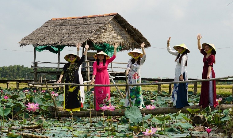 Những điểm ngắm sen tuyệt đẹp ở Đồng Tháp dịp lễ 30-4 và 1-5- Ảnh 1.