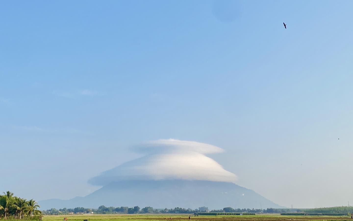 Xuất hiện mũ mây tại núi Bà Đen, người dân Nam bộ về Tây Ninh săn mây và trốn nóng
