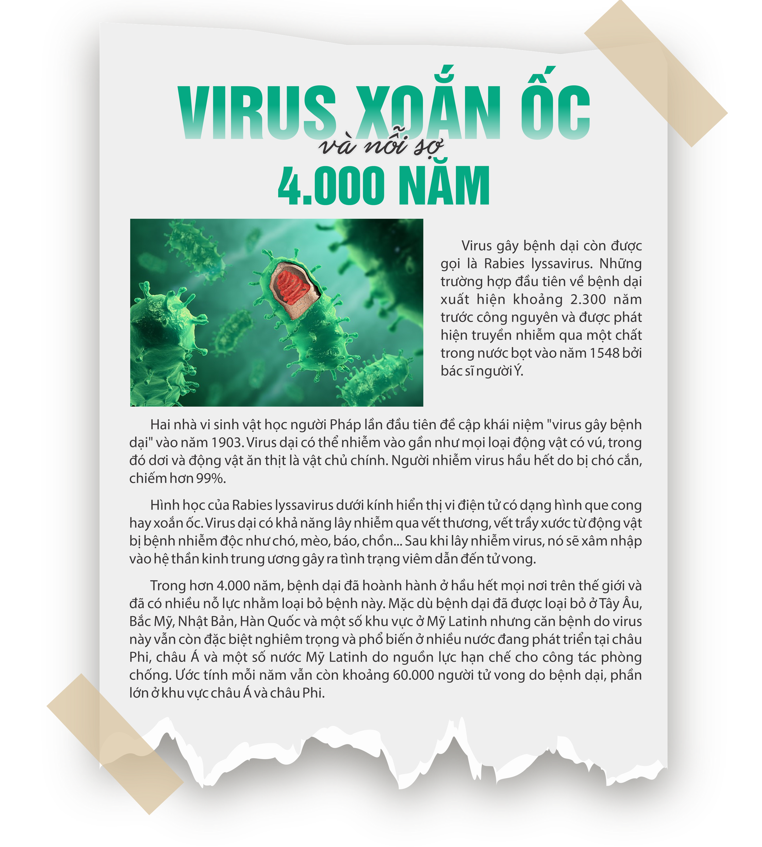 Ám ảnh cái chết gieo rắc bởi virus 4.000 năm trước- Ảnh 25.