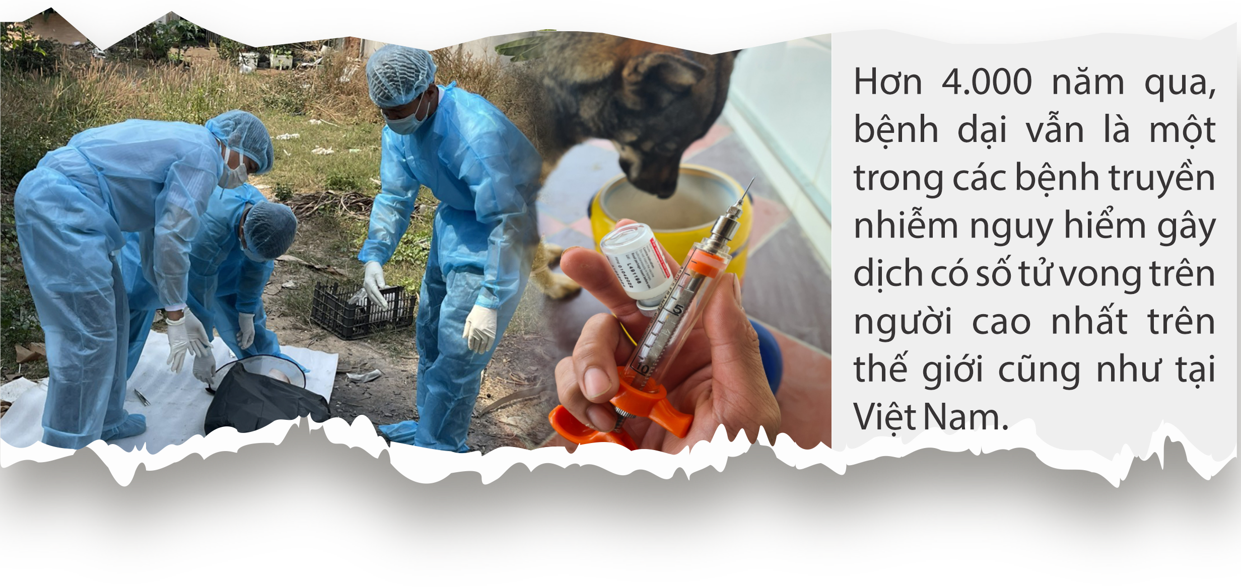 Ám ảnh cái chết gieo rắc bởi virus 4.000 năm trước- Ảnh 4.
