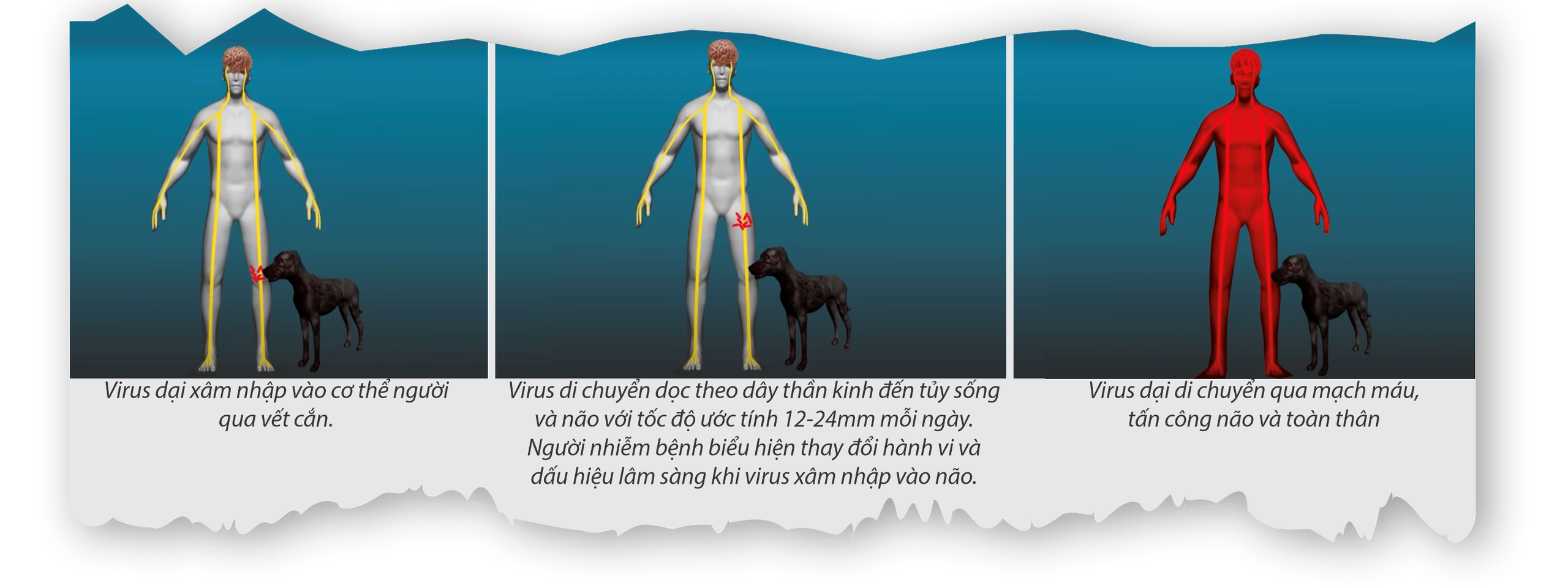 Ám ảnh cái chết gieo rắc bởi virus 4.000 năm trước- Ảnh 15.