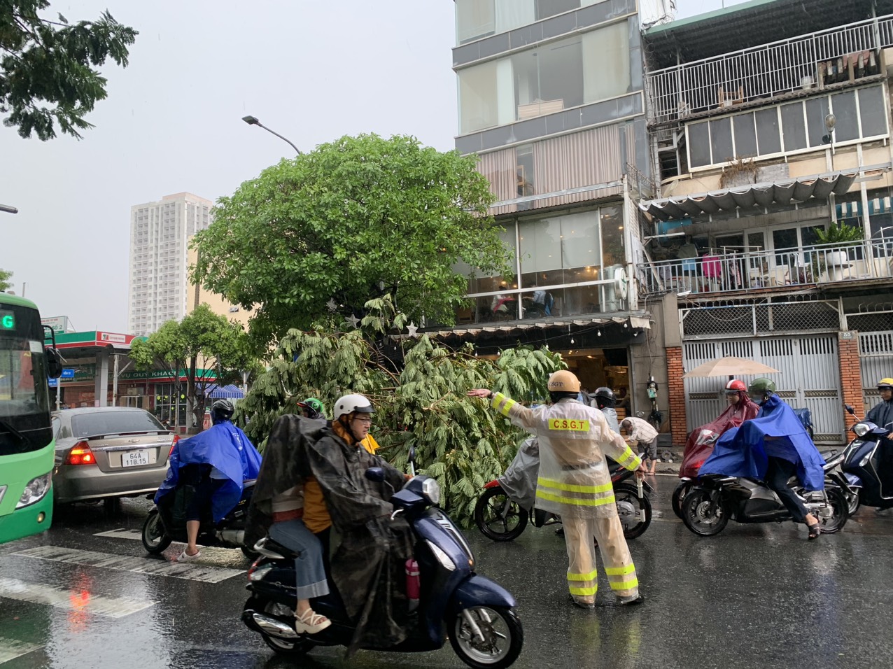 TP HCM đang mưa to, đã có cây đổ- Ảnh 8.