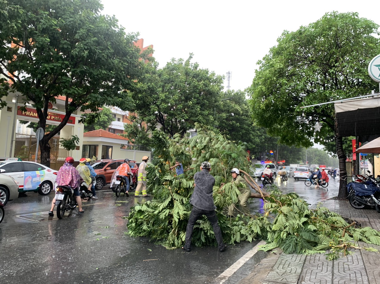 TP HCM đang mưa to, đã có cây đổ- Ảnh 5.