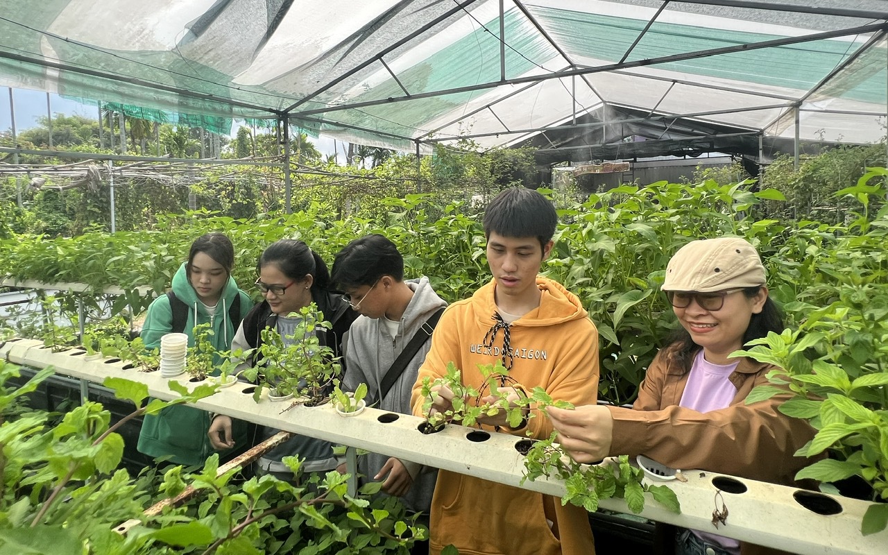 Mô hình aquaponics: Lợi ích thiết thực