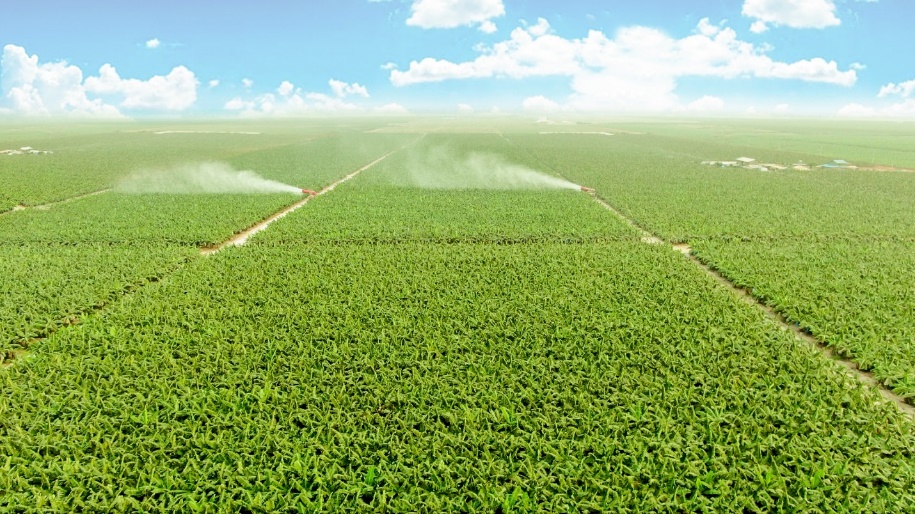 THACO AGRI hướng tới mô hình phát triển nông nghiệp bền vững- Ảnh 1.