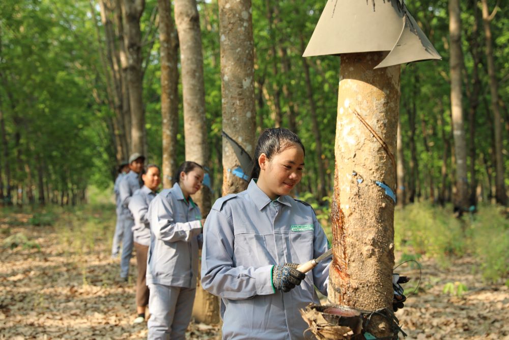 THACO AGRI hướng tới mô hình phát triển nông nghiệp bền vững- Ảnh 3.