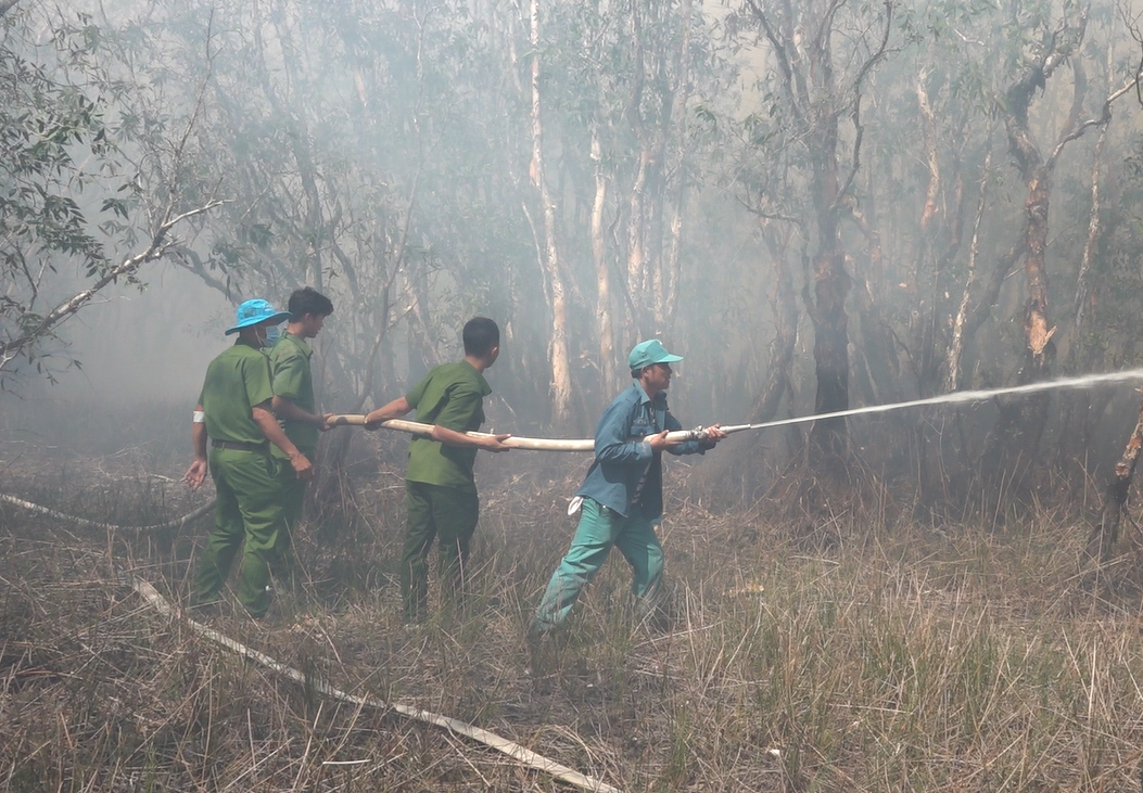 Huy động 200 người dập lửa vụ cháy Vườn Quốc gia Tràm Chim- Ảnh 9.