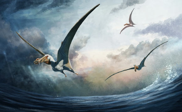Lộ diện quái vật bay 100 triệu tuổi, sải cánh gấp đôi đại bàng- Ảnh 1.