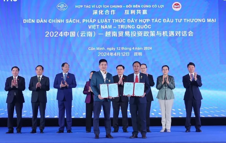 Yến sào Khánh Hòa xuất khẩu đi 30 nước- Ảnh 2. Yến sào Khánh Hòa xuất khẩu đi 30 nước- Ảnh 2.
