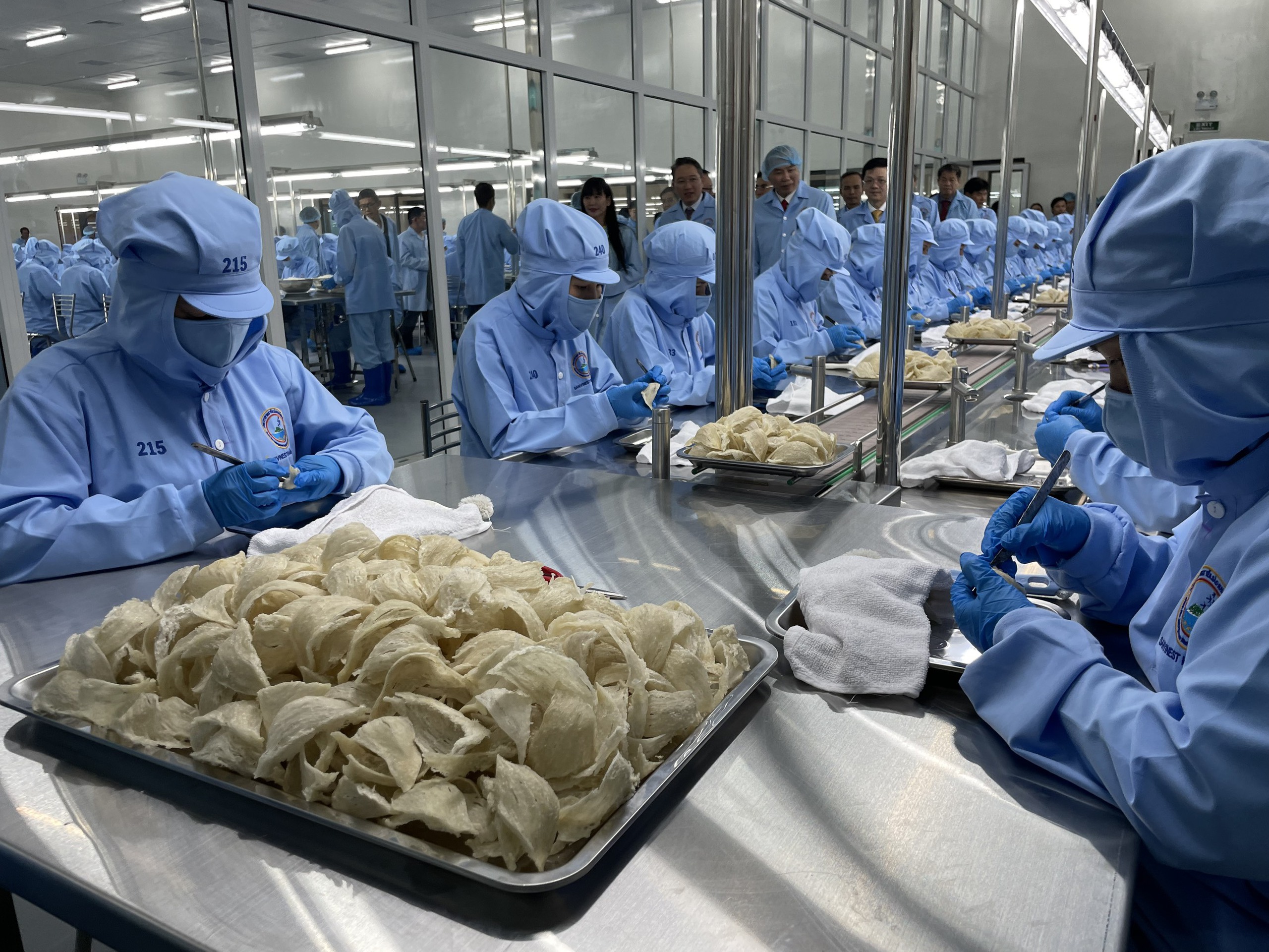 Yến sào Khánh Hòa xuất khẩu đi 30 nước- Ảnh 1. Yến sào Khánh Hòa xuất khẩu đi 30 nước- Ảnh 1.