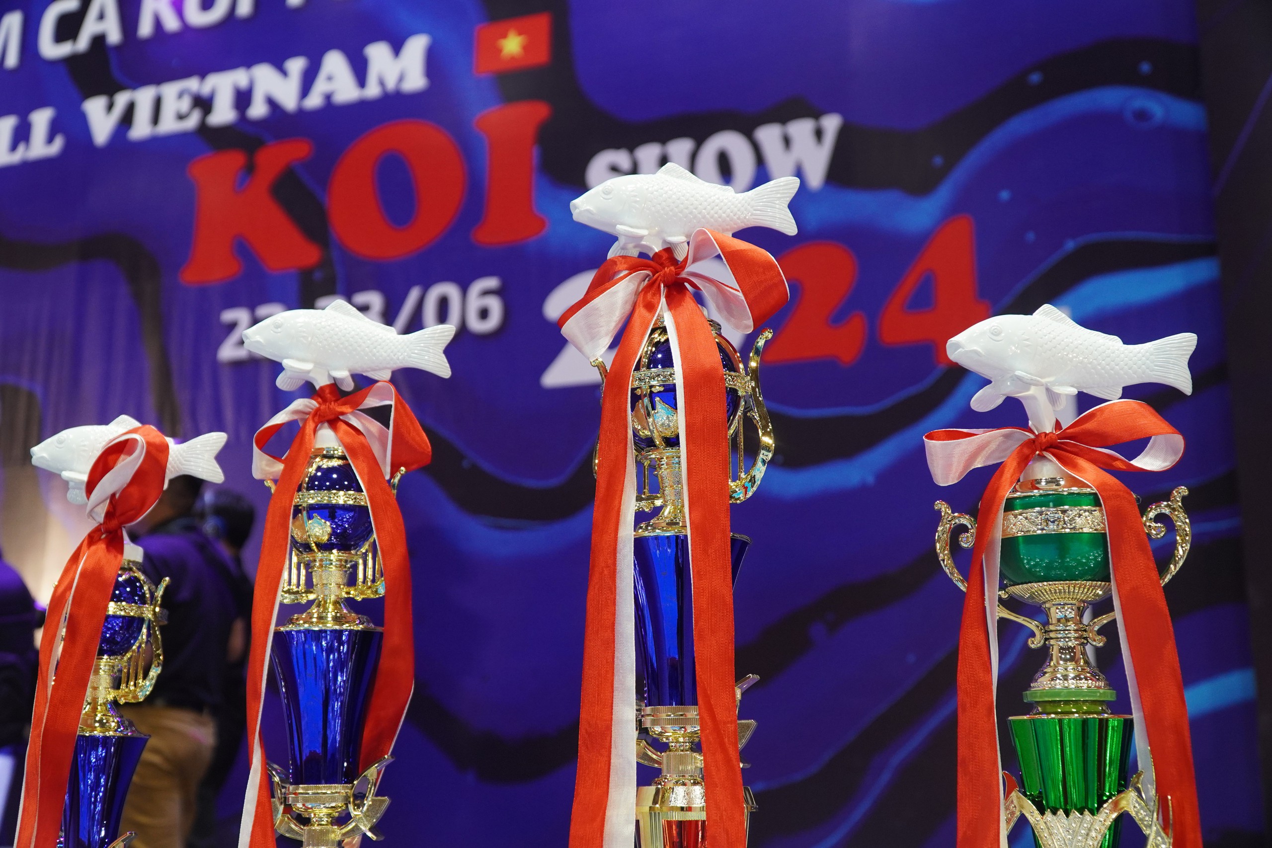 TP HCM: Ngắm cá Koi dài hơn 1 m tại Koishow 2024- Ảnh 9.