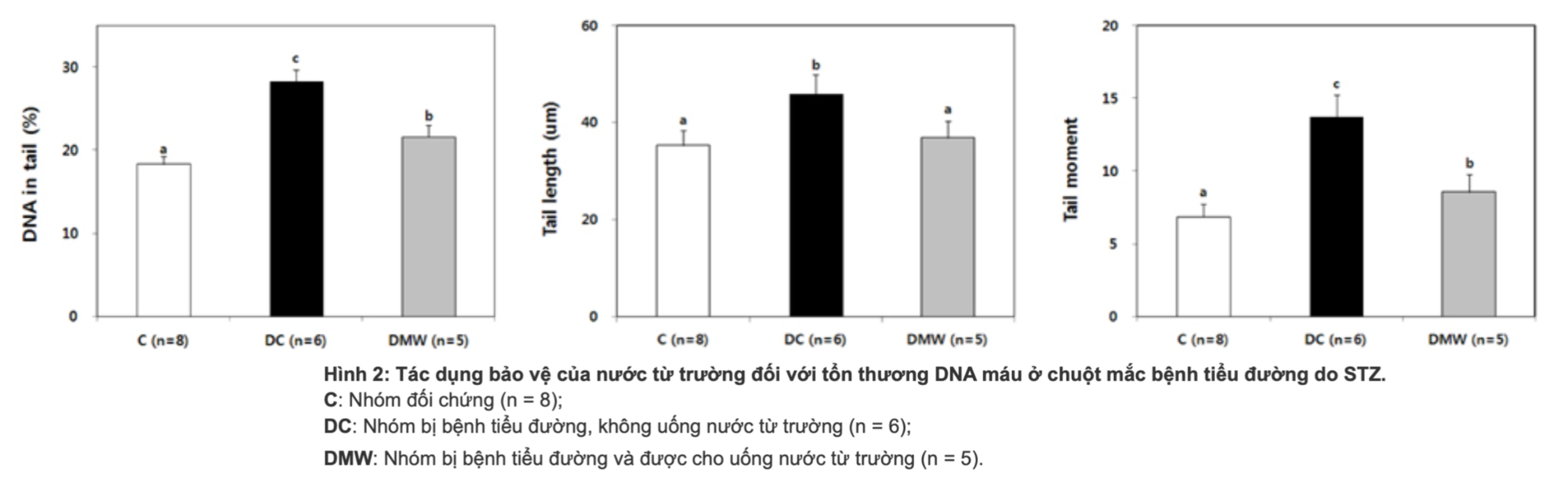 Nước từ trường hoàn nguyên giúp hỗ trợ điều trị bệnh tiểu đường, ung thư- Ảnh 4.