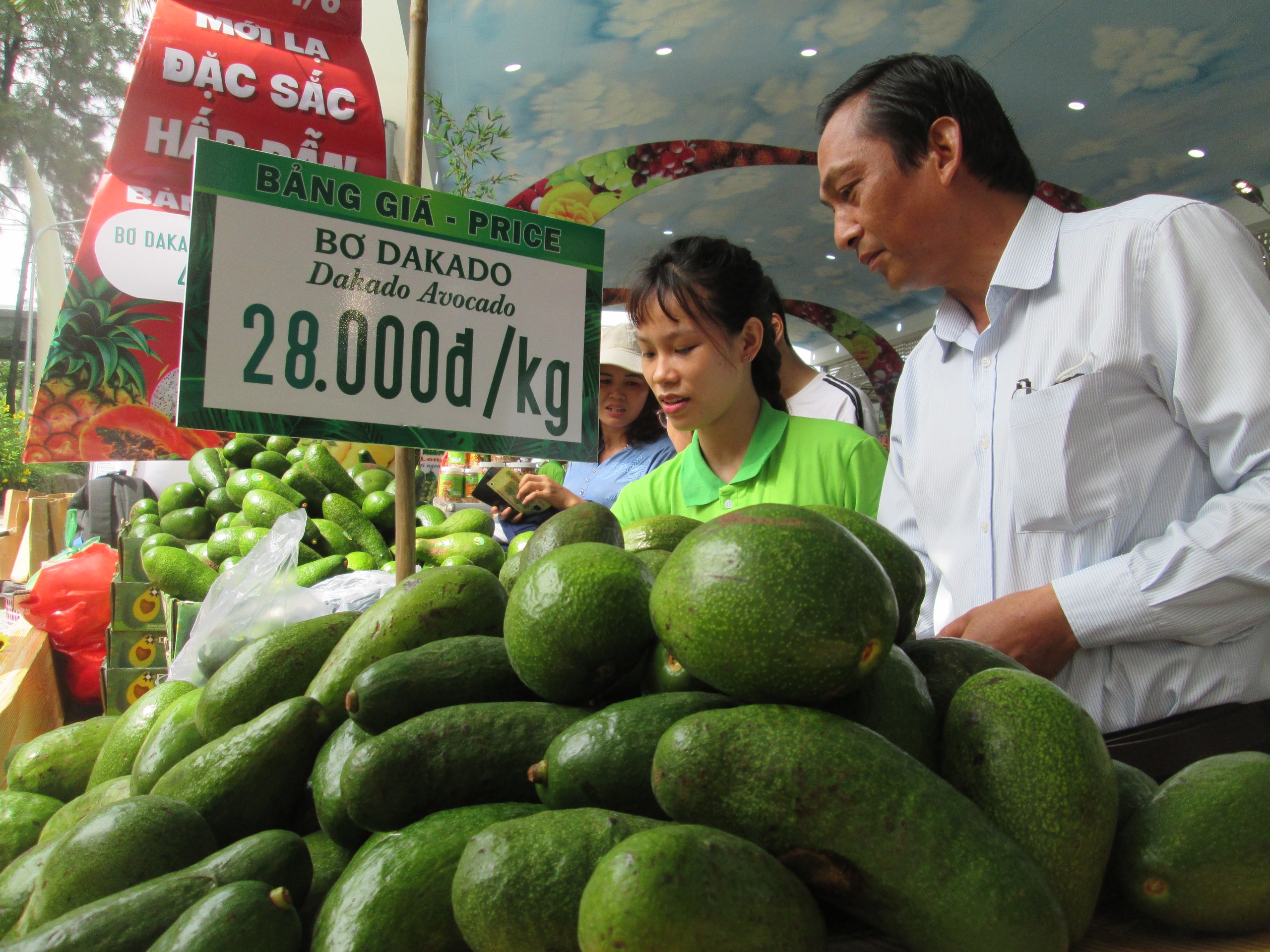 Giá bơ 034 có trở lại thời hoàng kim nếu được xuất khẩu sang Trung Quốc?- Ảnh 1. Giá bơ 034 có trở lại thời hoàng kim nếu được xuất khẩu sang Trung Quốc?- Ảnh 1.