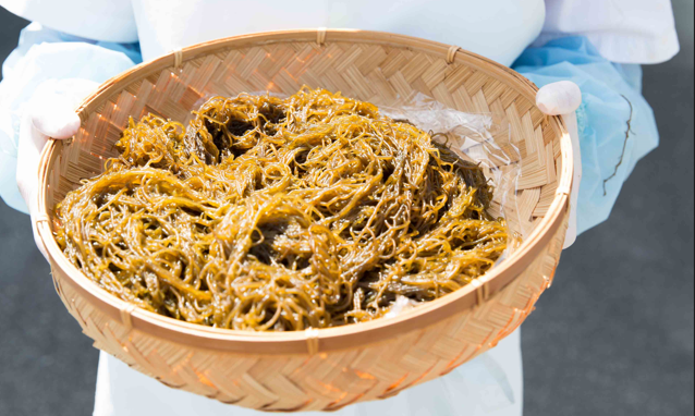 Lợi ích tuyệt vời của chất fucoidan từ tảo nâu Okinawa đối với sức khỏe- Ảnh 1.