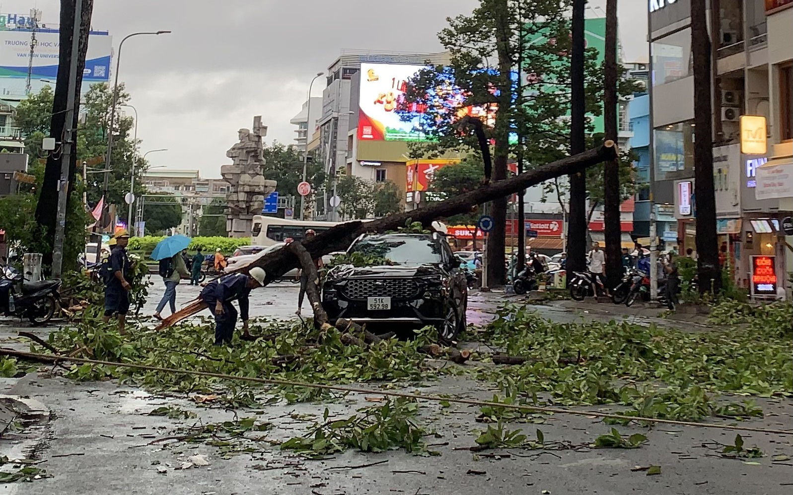 TP HCM: Nhiều cây xanh bật gốc, ô tô gặp nạn trên đường Ngô Gia Tự  