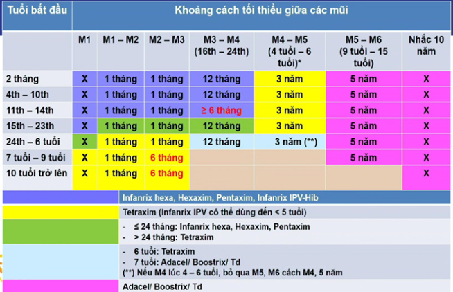 Người lớn có cần tiêm vaccine ngừa bệnh bạch hầu không?- Ảnh 2.