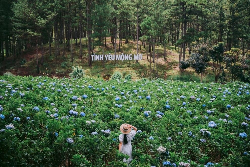 A person standing in a field of flowers  Description automatically generated