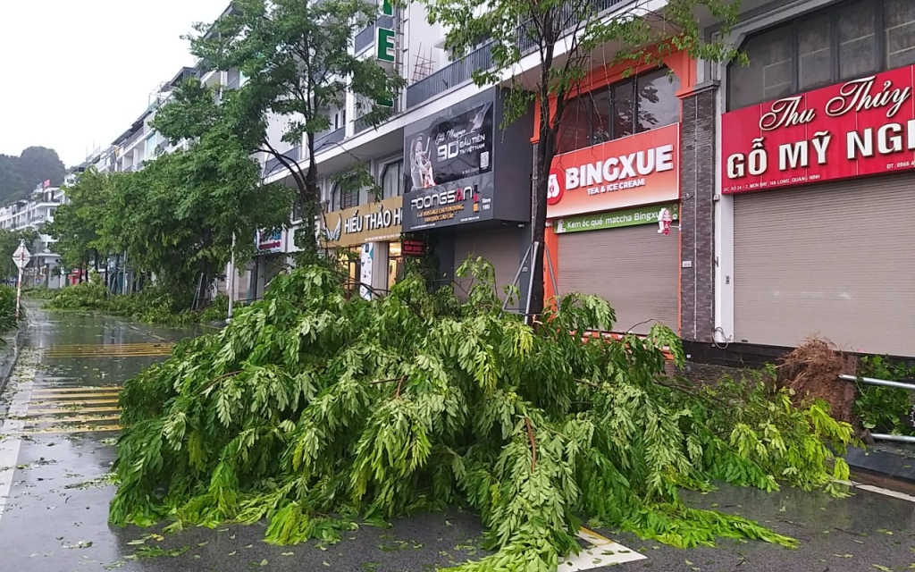 Những thiệt hại ban đầu khi bão số 2 đổ bộ Quảng Ninh