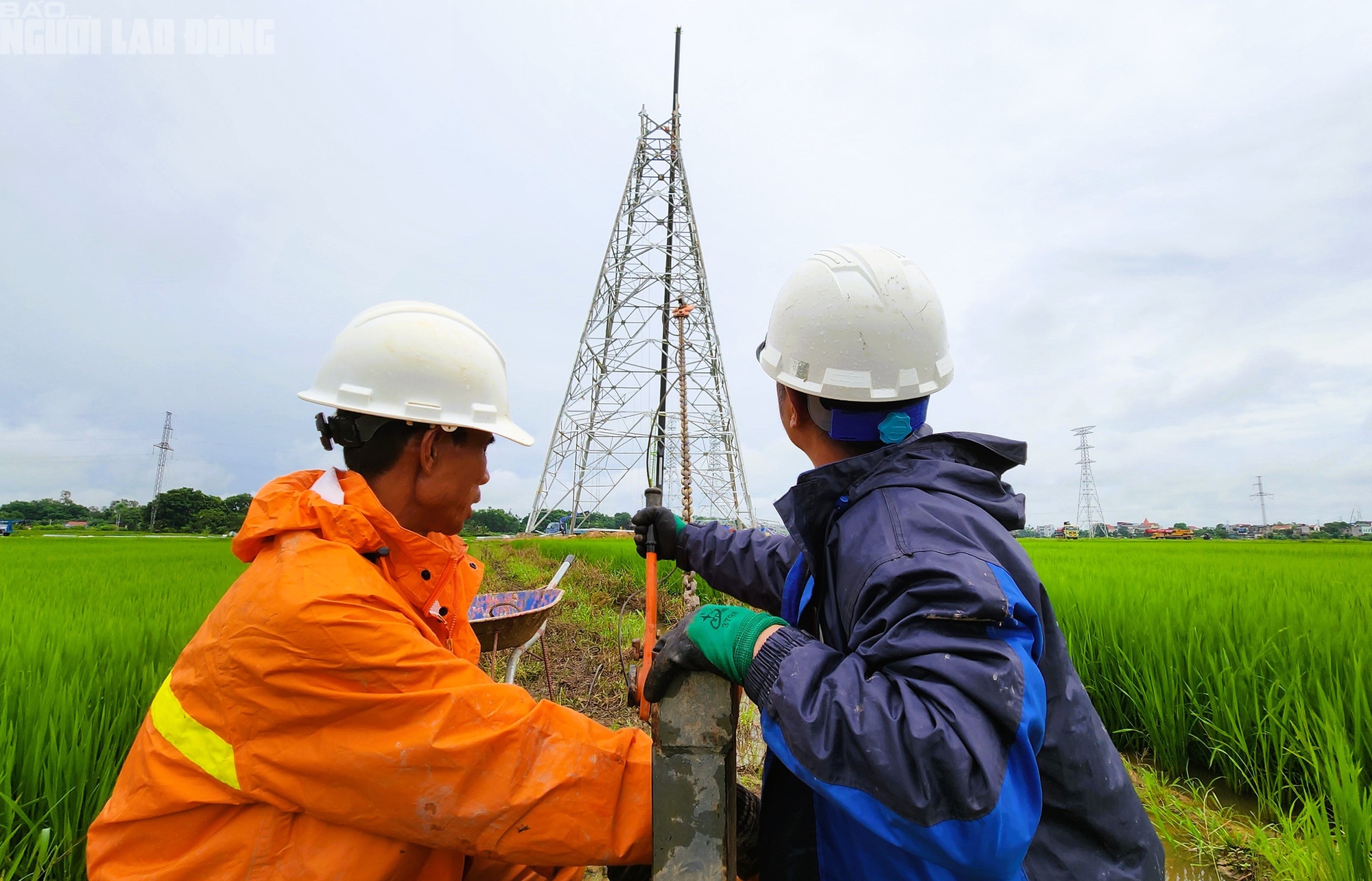 VIDEO: Người lao động ngành điện "dầm mưa" thi công Đường dây 500 kV- Ảnh 1.