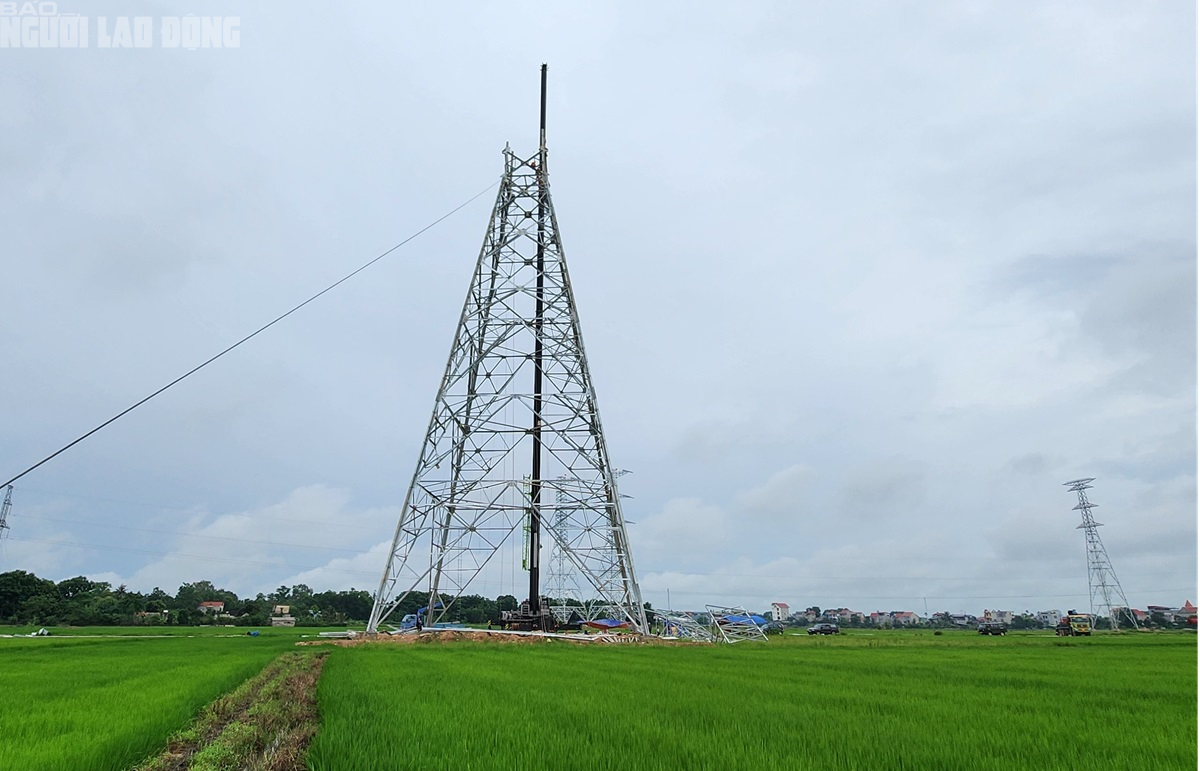 VIDEO: Người lao động ngành điện "dầm mưa" thi công Đường dây 500 kV- Ảnh 2.