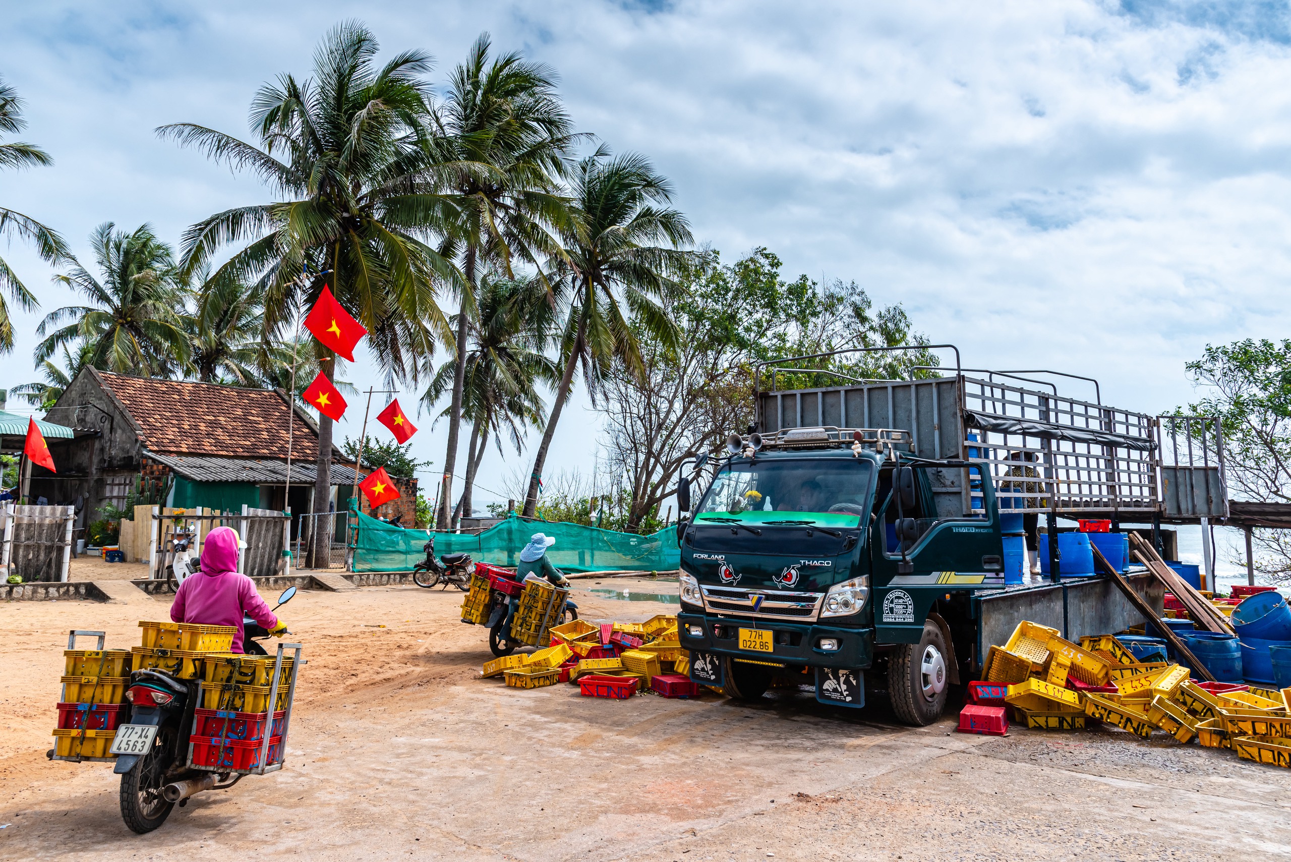 Ảnh đẹp trong tuần: Bản giao hưởng bên sông- Ảnh 3.