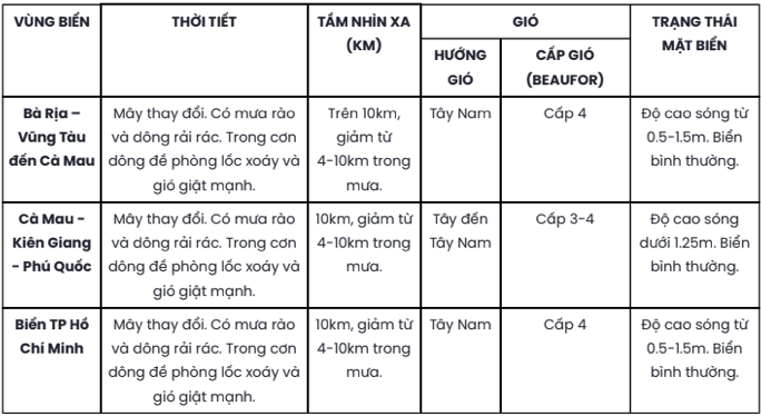 Thời tiết TP HCM và Nam Bộ hôm nay, 29-7- Ảnh 2.