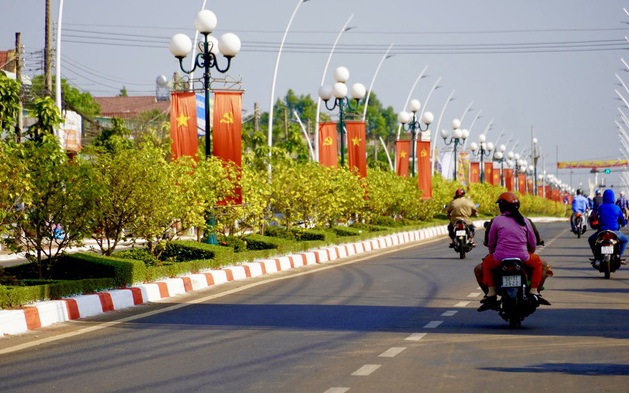 Đường hoa mai dài 6,4km được cấp bằng kỷ lục Việt Nam