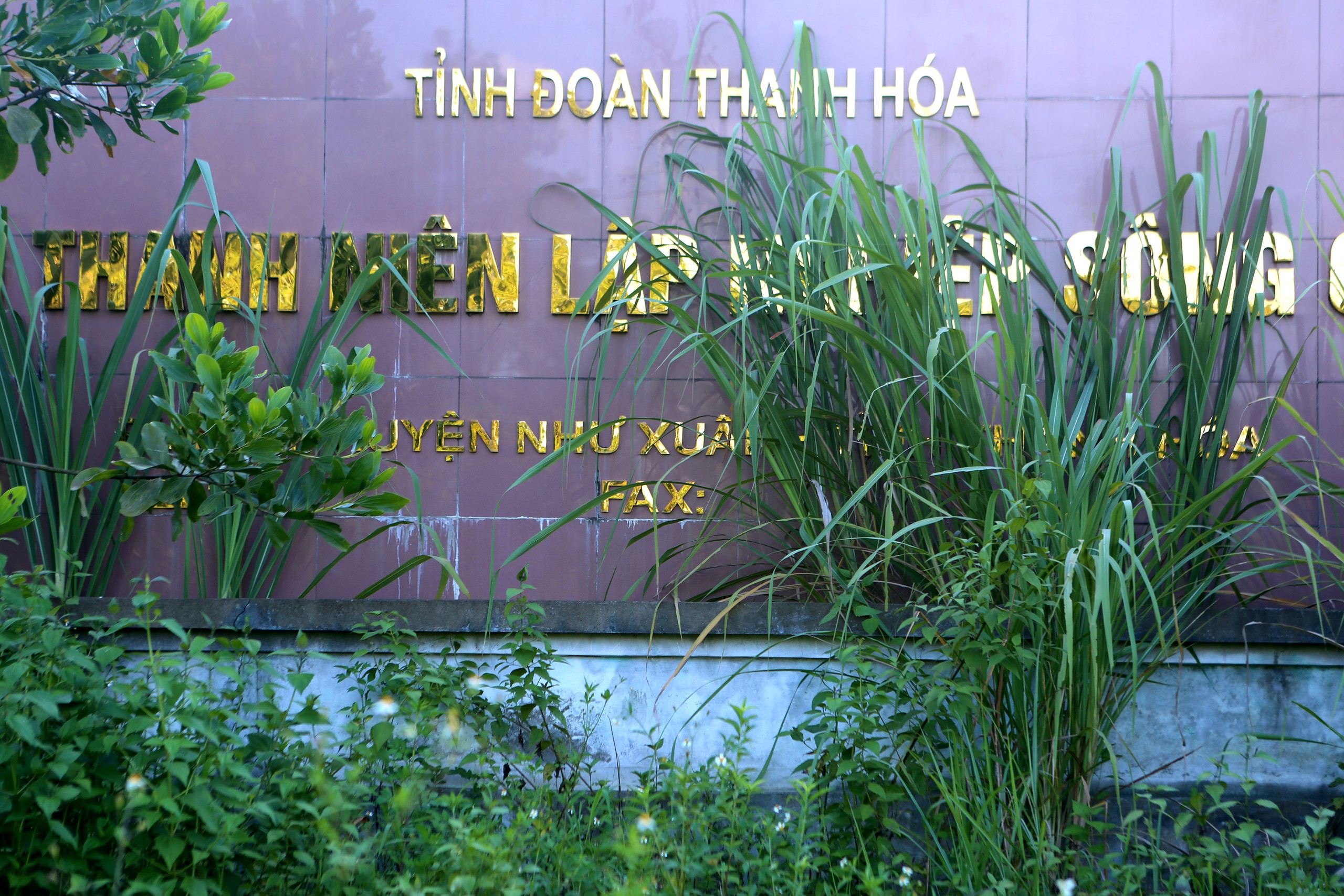Dang dở làng thanh niên lập nghiệp ở Thanh Hóa- Ảnh 8. Dang dở làng thanh niên lập nghiệp ở Thanh Hóa- Ảnh 8.