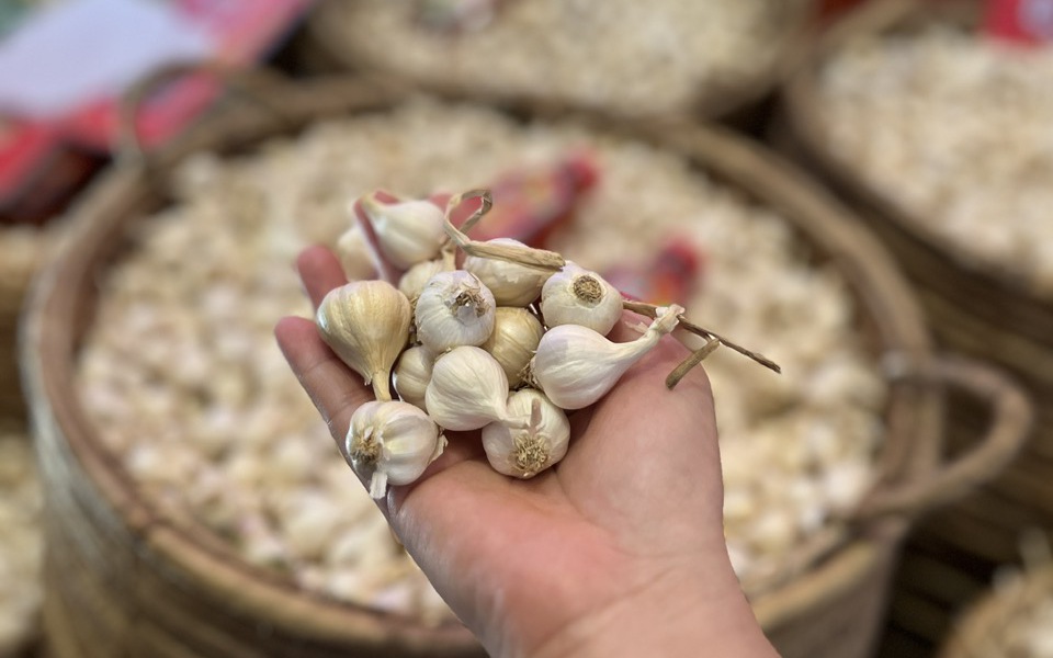 N&ocirc;ng d&acirc;n L&yacute; Sơn kh&oacute;c r&ograve;ng v&igrave; "v&agrave;ng trắng" mất gi&aacute; - Ảnh 5.