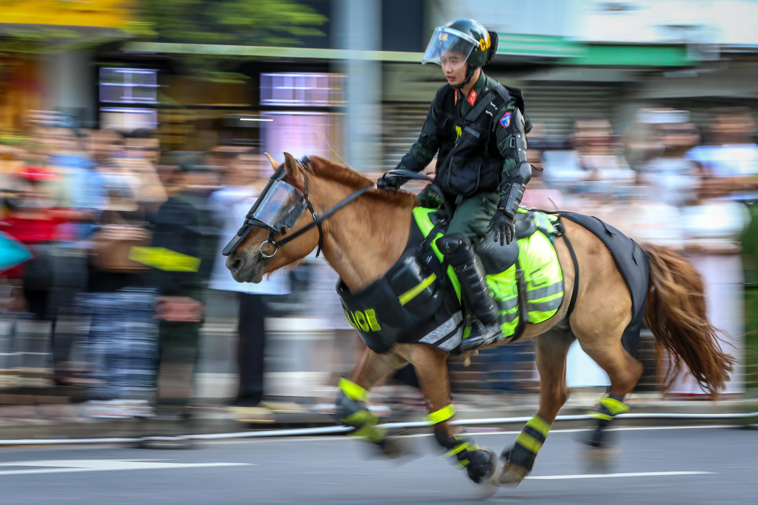 Mãn nhãn với màn trình diễn đỉnh cao của kỵ binh trên đường phố TP HCM- Ảnh 3.