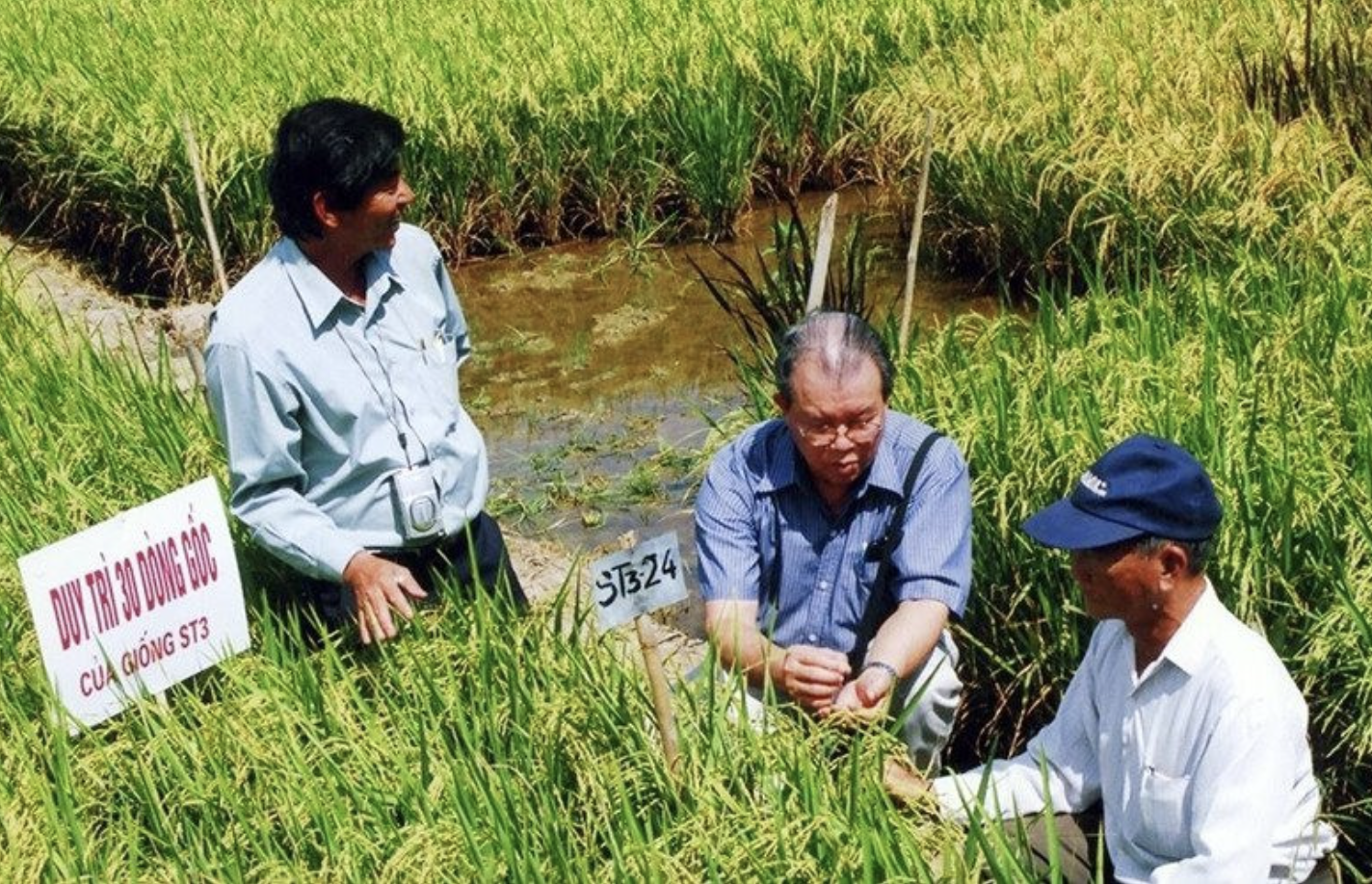 GS-TS Võ Tòng Xuân và khát vọng bảo đảm an ninh lương thực toàn cầu- Ảnh 8.