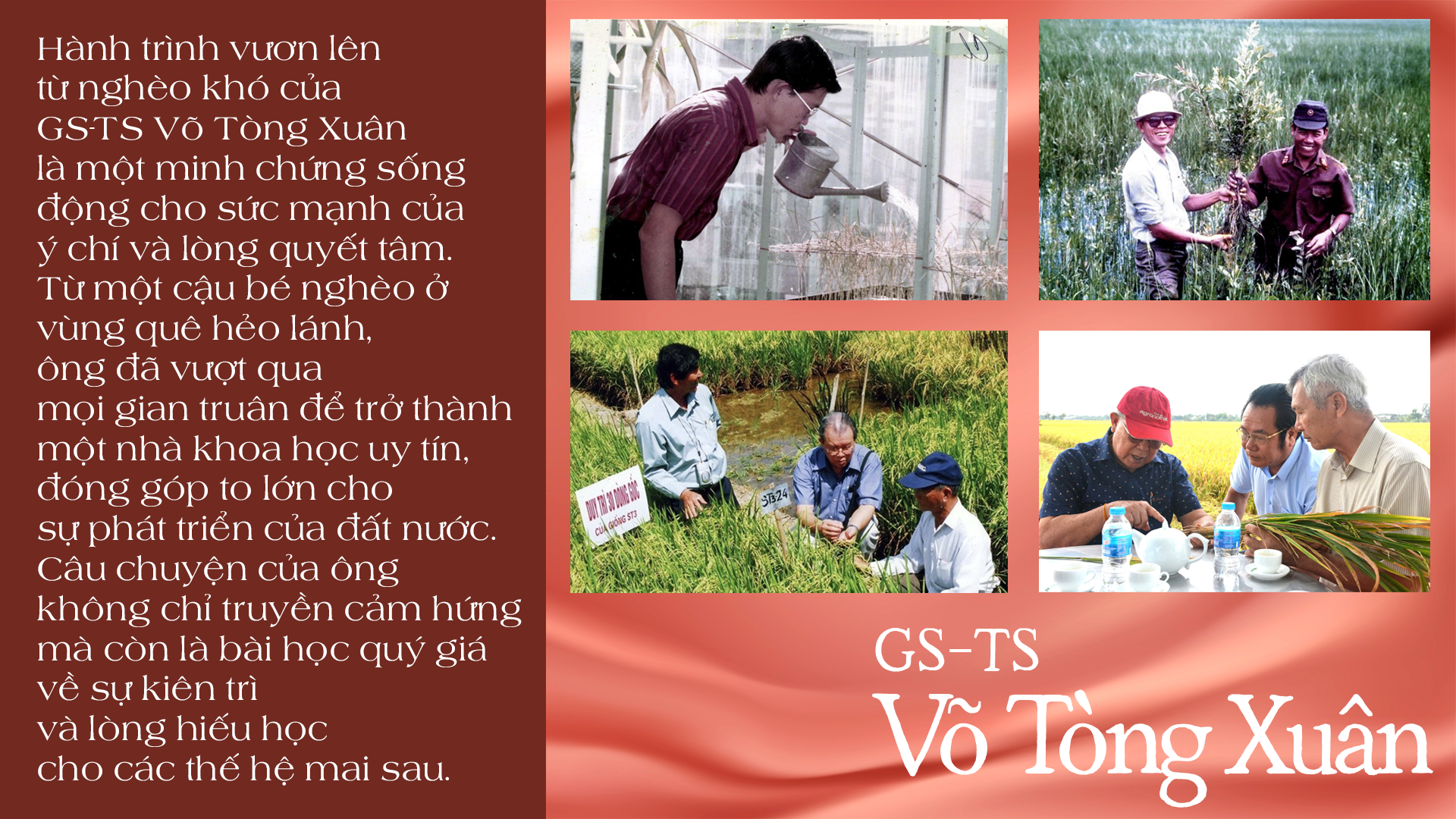 GS-TS Võ Tòng Xuân và khát vọng bảo đảm an ninh lương thực toàn cầu- Ảnh 6.