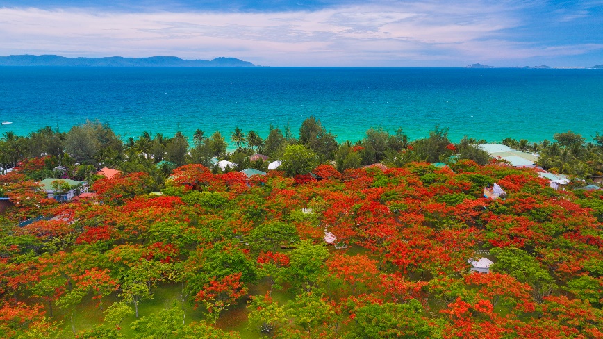 A green field with red flowers and trees by the water  Description automatically generated