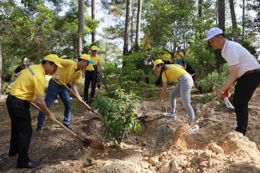 A group of people digging a hole in the ground  Description automatically generated