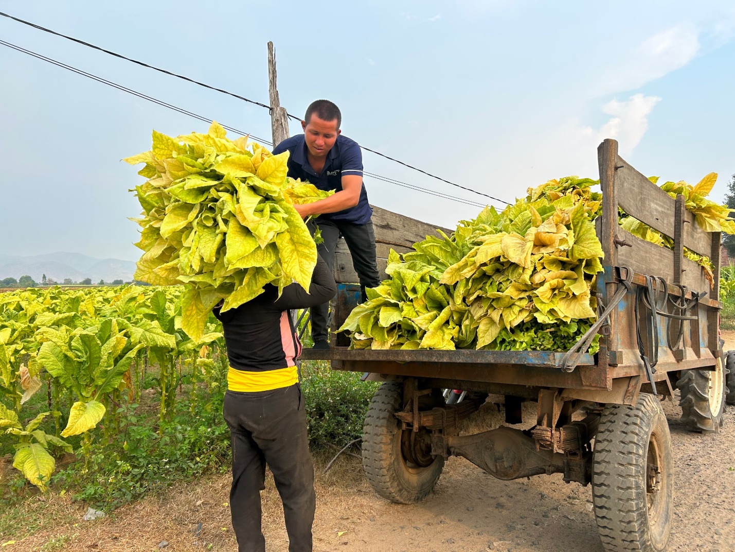 Tăng thuế tiêu thụ đặc biệt thuốc lá cần có lộ trình hợp lý- Ảnh 1.