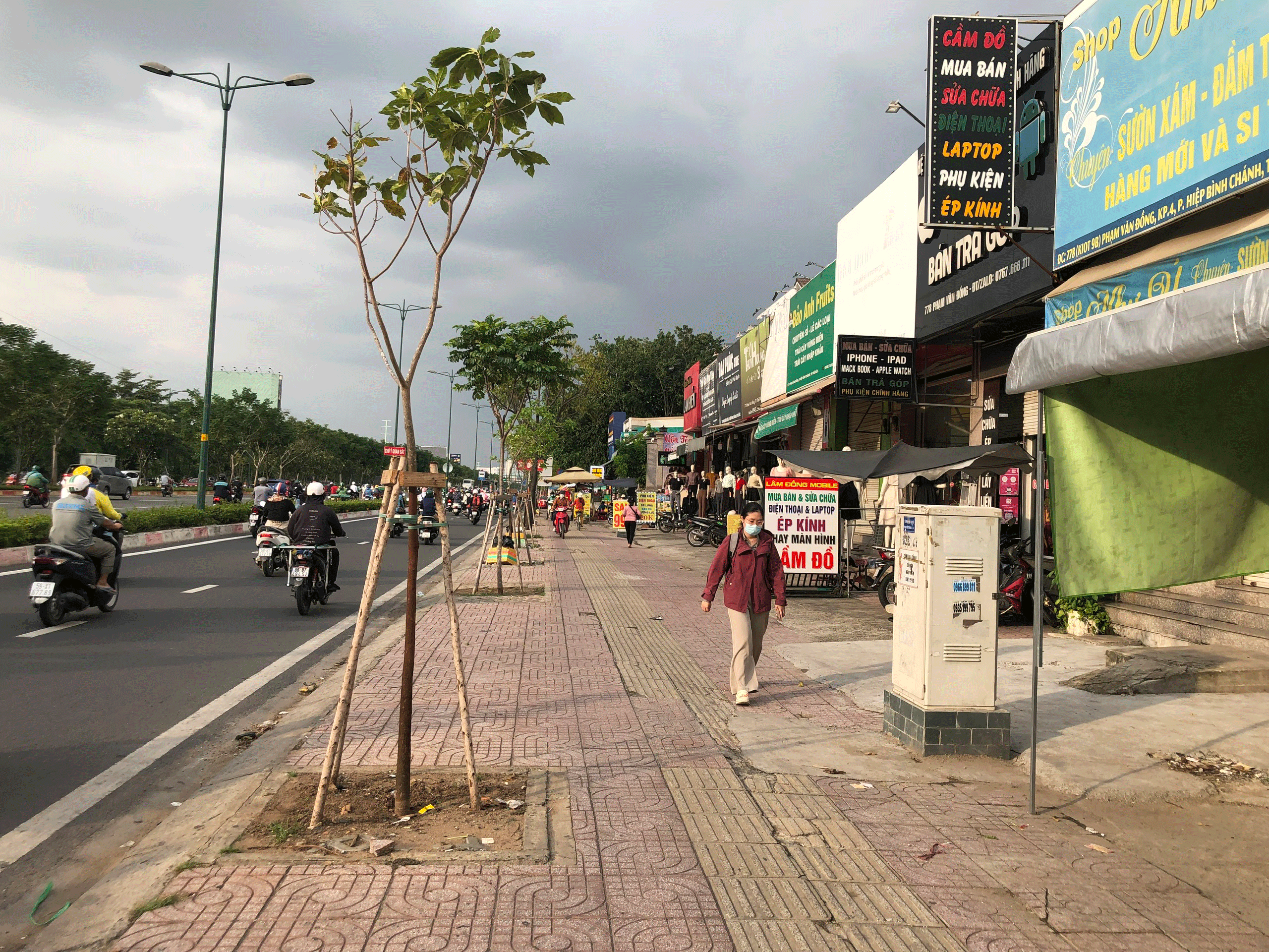 Tìm lời giải cho cây xanh đô thị: Sự tàn tạ không đáng có- Ảnh 1. Tìm lời giải cho cây xanh đô thị: Sự tàn tạ không đáng có- Ảnh 1.