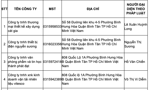 Loạt doanh nghiệp bán hoá đơn trái phép có đăng ký kinh doanh tại TP HCM- Ảnh 1.