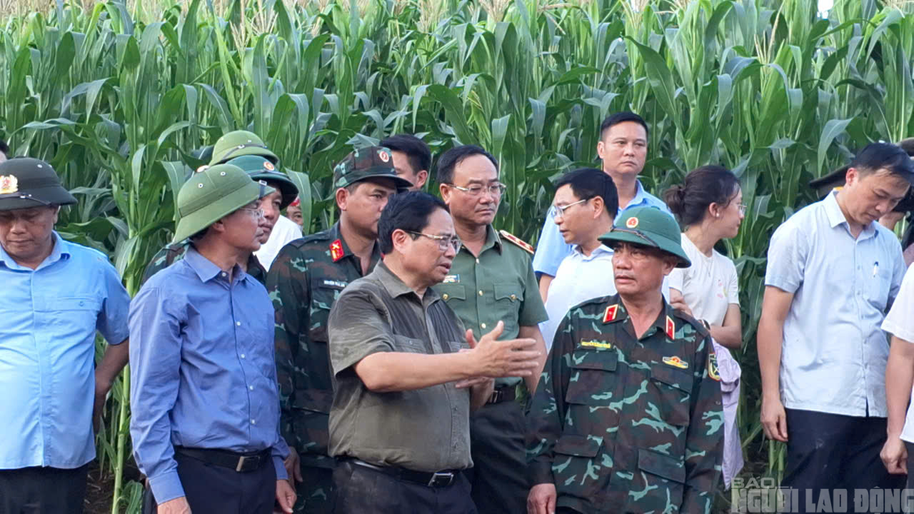 VIDEO: Thủ tướng Phạm Minh Chính không cầm được nước mắt khi thăm hỏi bà con Làng Nủ- Ảnh 5.