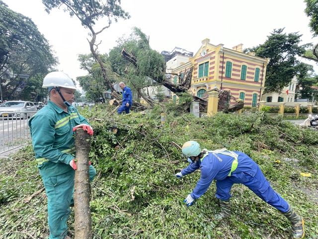 Hà Nội cơ bản giải tỏa cây xanh đổ gãy, hơn 3 ngàn cây có thể dựng lại- Ảnh 1.