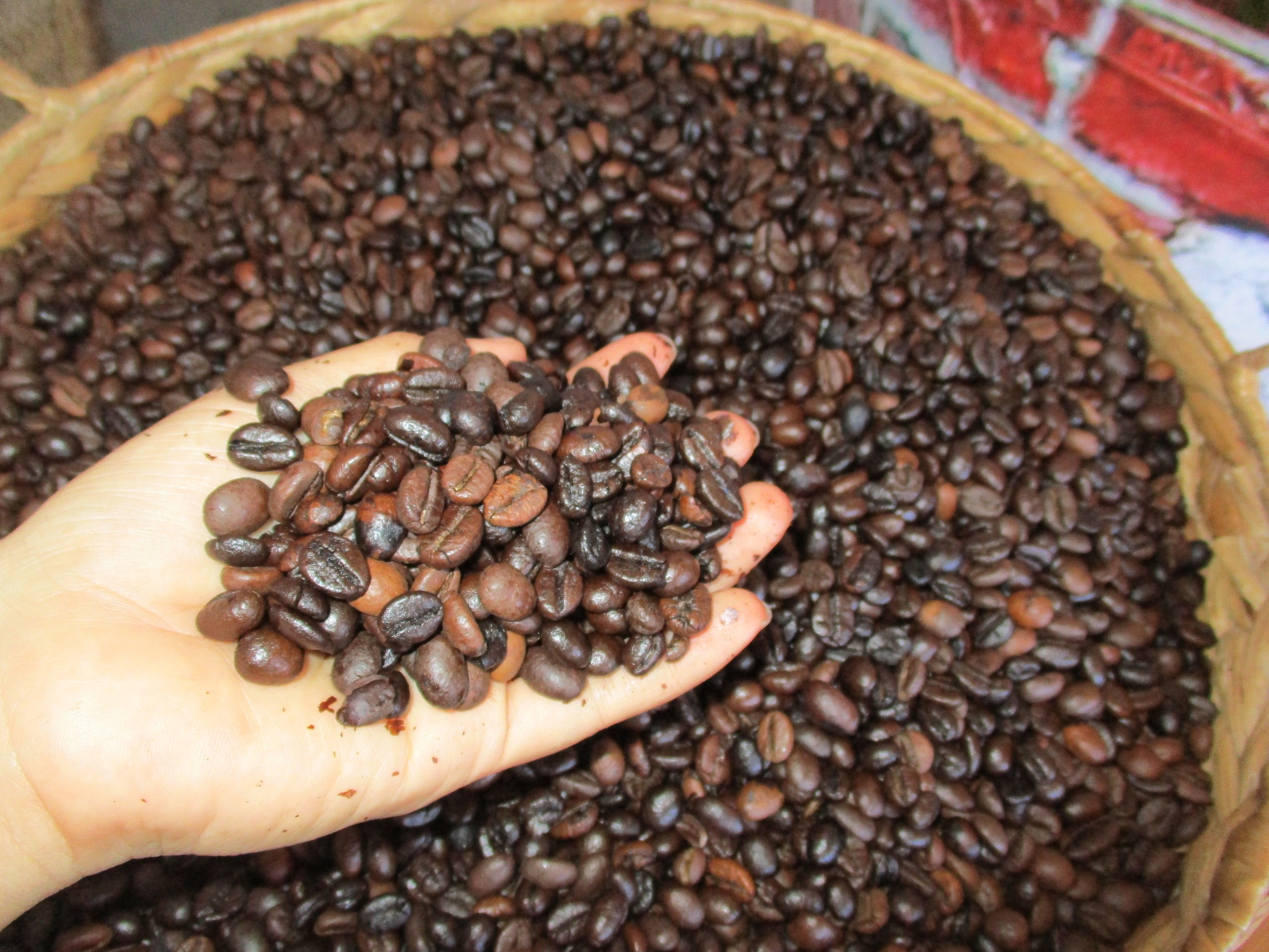 Giá cà phê Robusta lại lập kỷ lục- Ảnh 1. Giá cà phê Robusta lại lập kỷ lục- Ảnh 1.