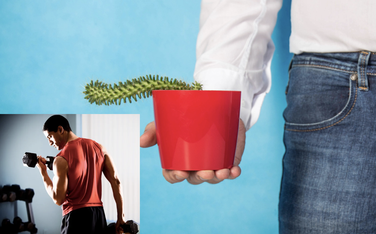  Nam giới uống sữa đậu n&agrave;nh c&oacute; l&agrave;m giảm sinh l&yacute;? - Ảnh 2.