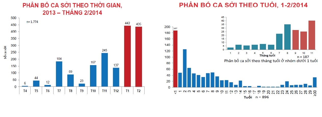 Bóng ma bệnh sởi: 4 đợt dịch bùng phát tại Việt Nam- Ảnh 16.