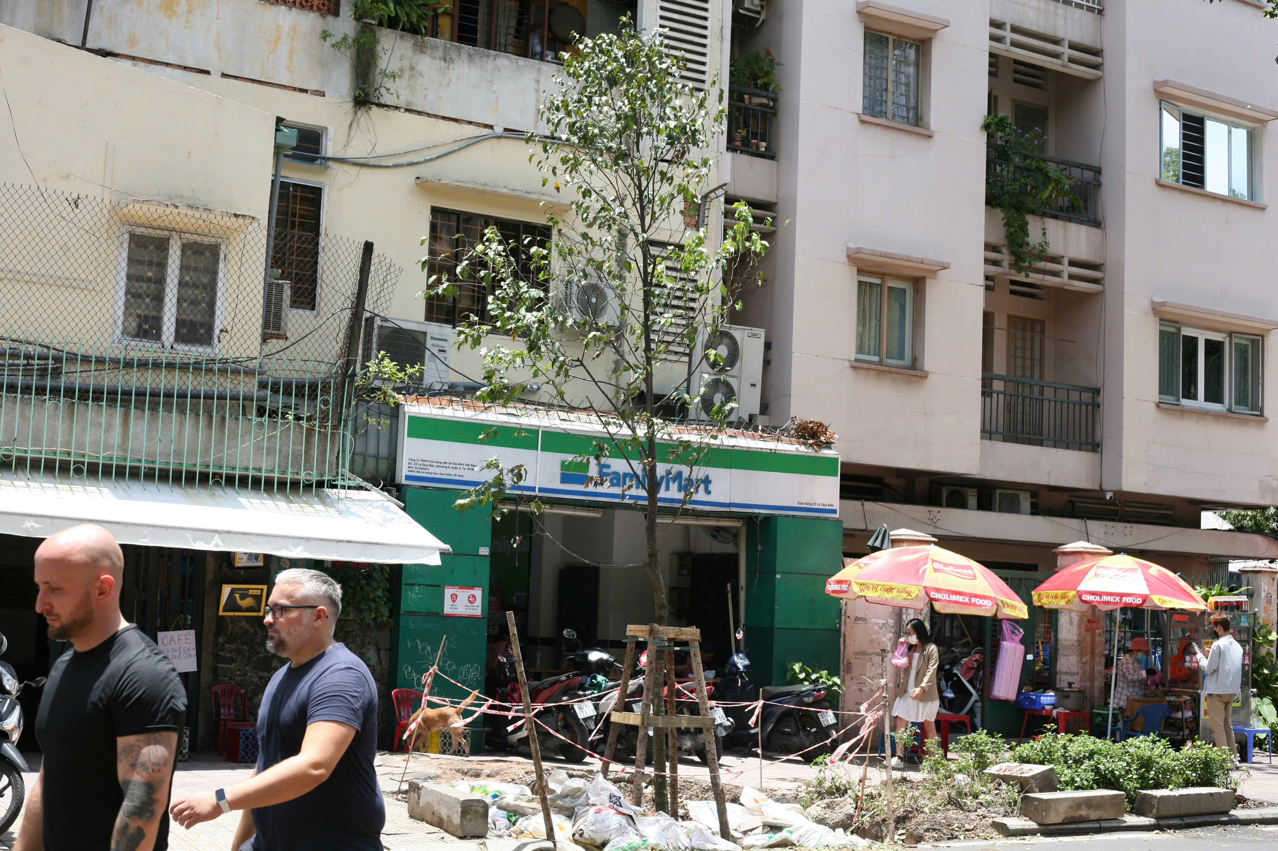 Công ty cây xanh đô thị uy tín tại TP.HCM - Bí quyết tạo dựng không gian xanh bền vững và đẳng cấp