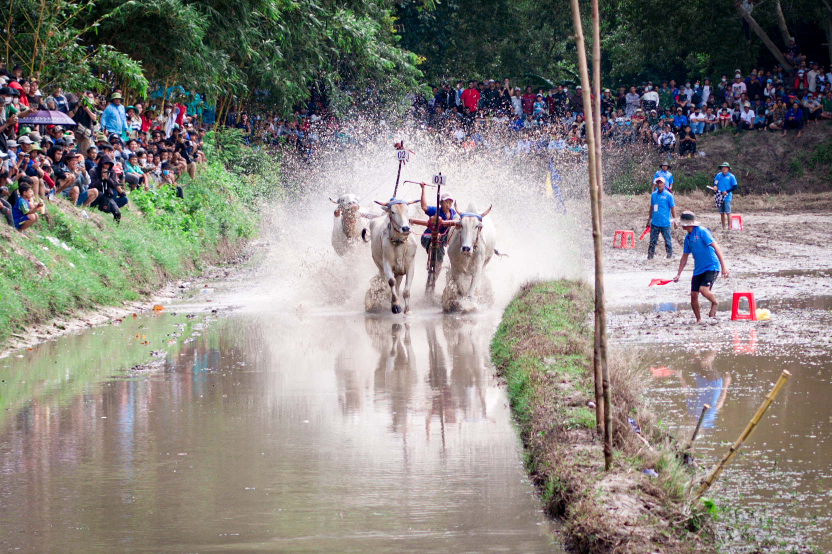 VIDEO: Cuồng nhiệt Hội đua bò chùa Rô ở An Giang- Ảnh 14.