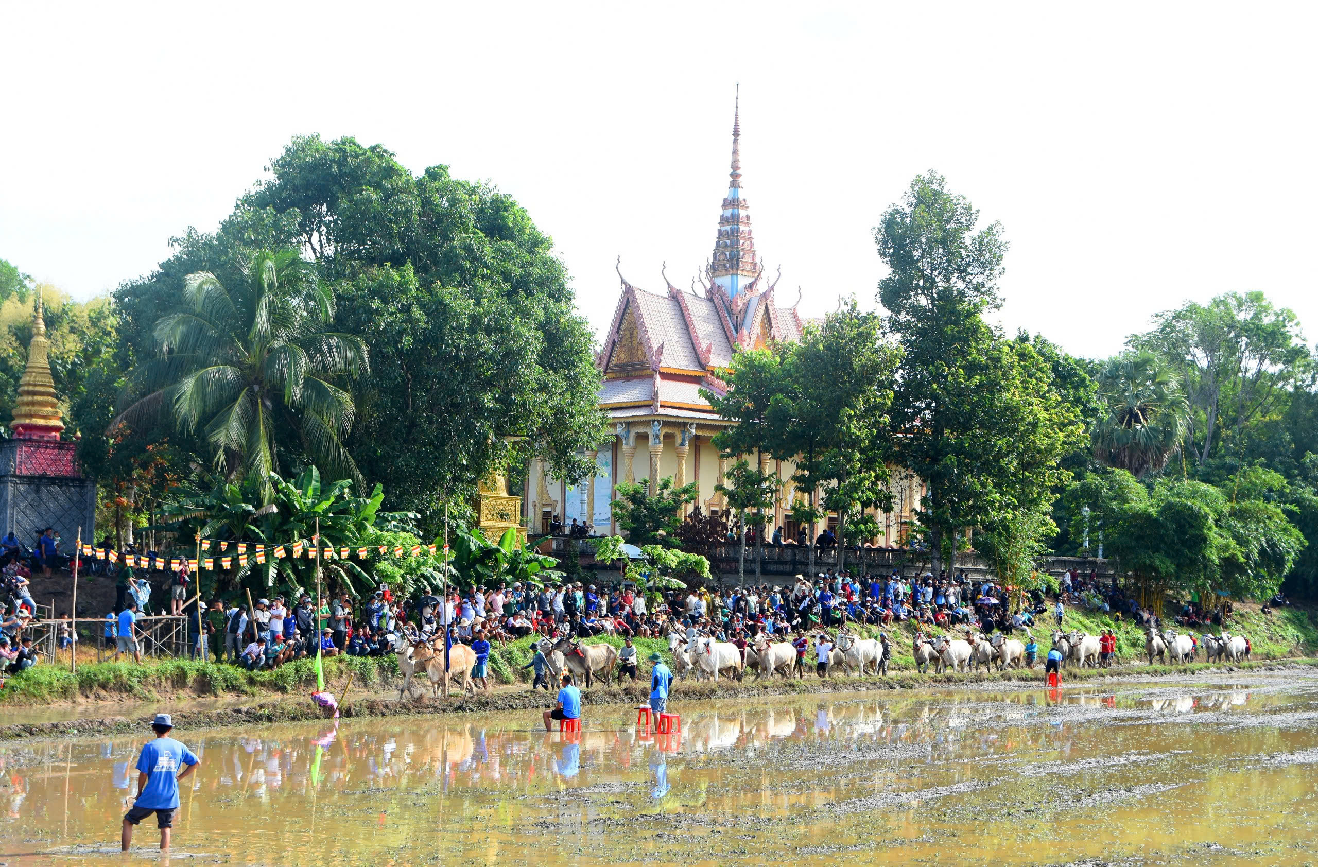 VIDEO: Cuồng nhiệt Hội đua bò chùa Rô ở An Giang- Ảnh 4.