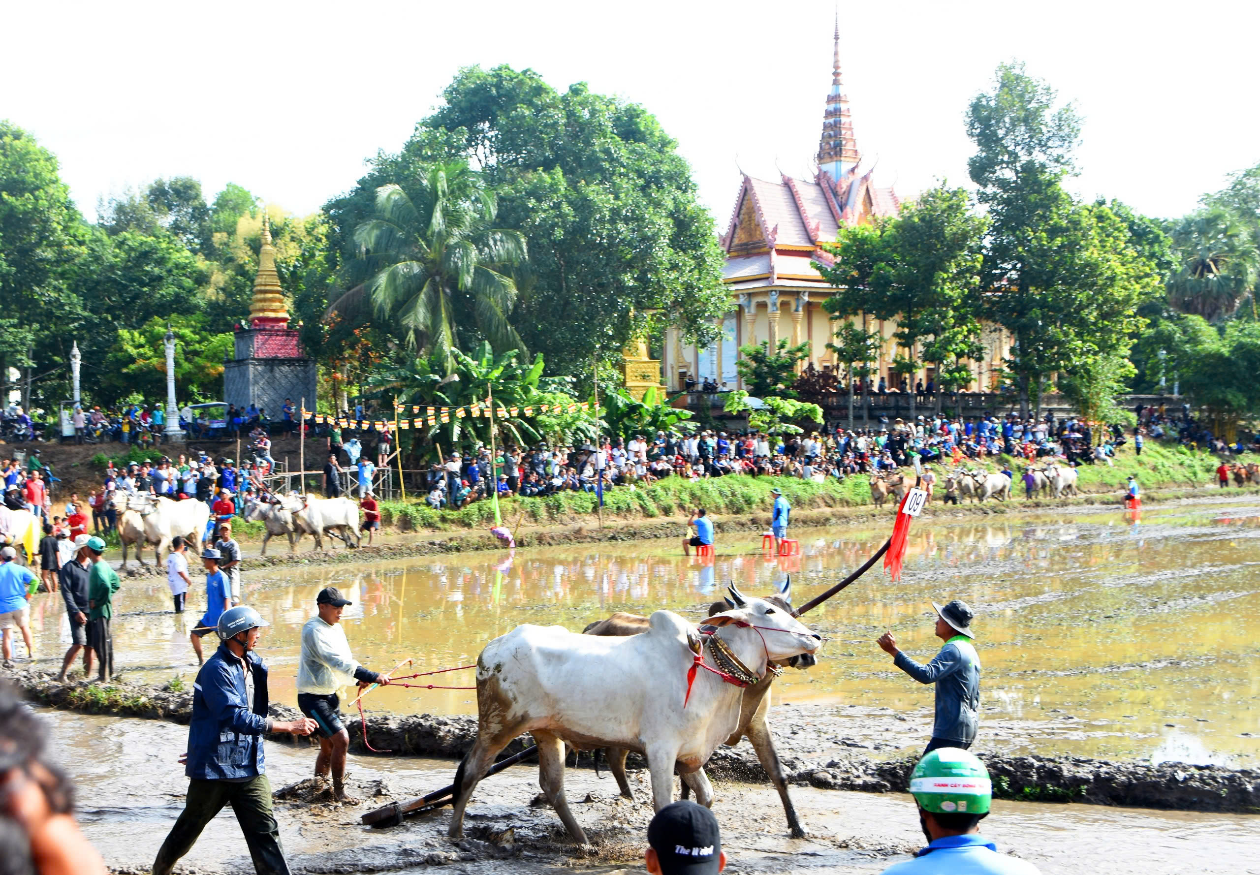 VIDEO: Cuồng nhiệt Hội đua bò chùa Rô ở An Giang- Ảnh 5.