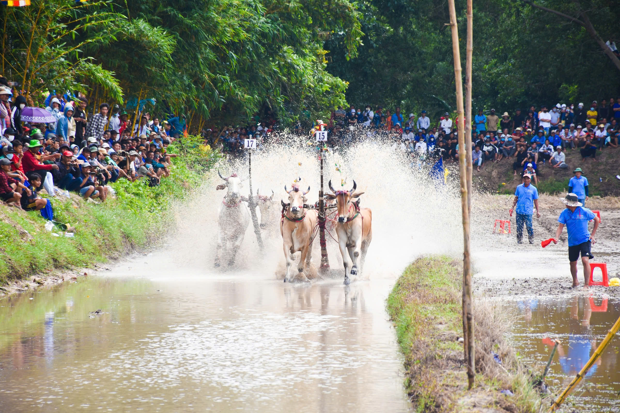 VIDEO: Cuồng nhiệt Hội đua bò chùa Rô ở An Giang- Ảnh 7.