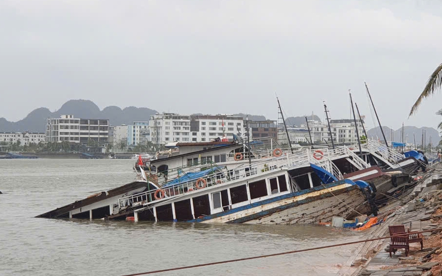 Hàng chục tàu du lịch ở Tuần Châu bị chìm trong bão dữ Yagi, thiệt hại hàng tỉ đồng