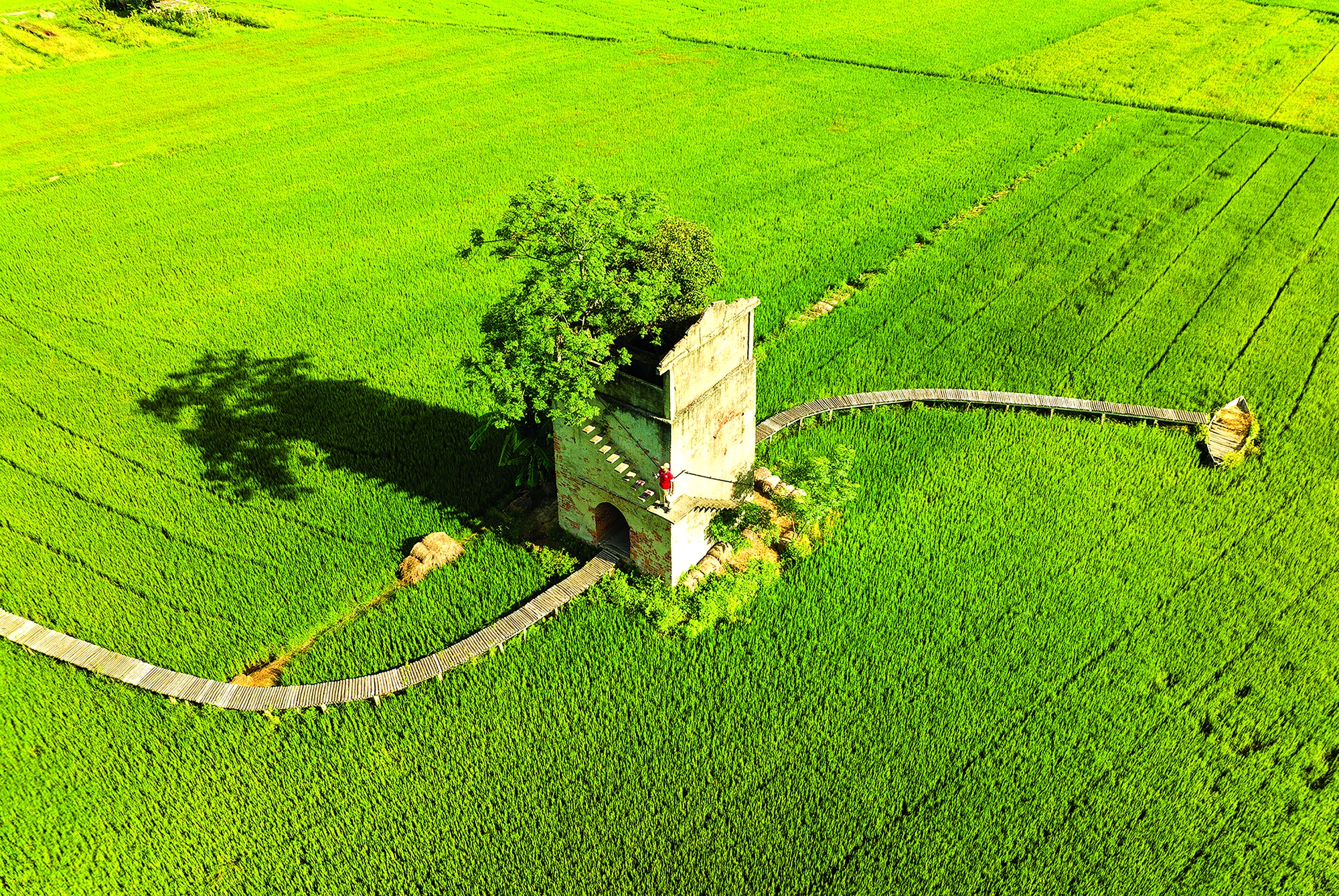 Toc mach cung qua khu Anh Nguyen Sanh Quoc Huy.jpg